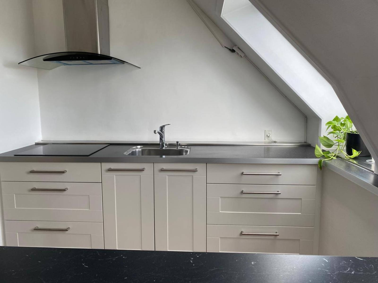 Renovated Apartment Birkerød Dış mekan fotoğraf